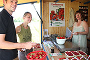 Erdbeerfeld  (Foto: Martin Schmitz)